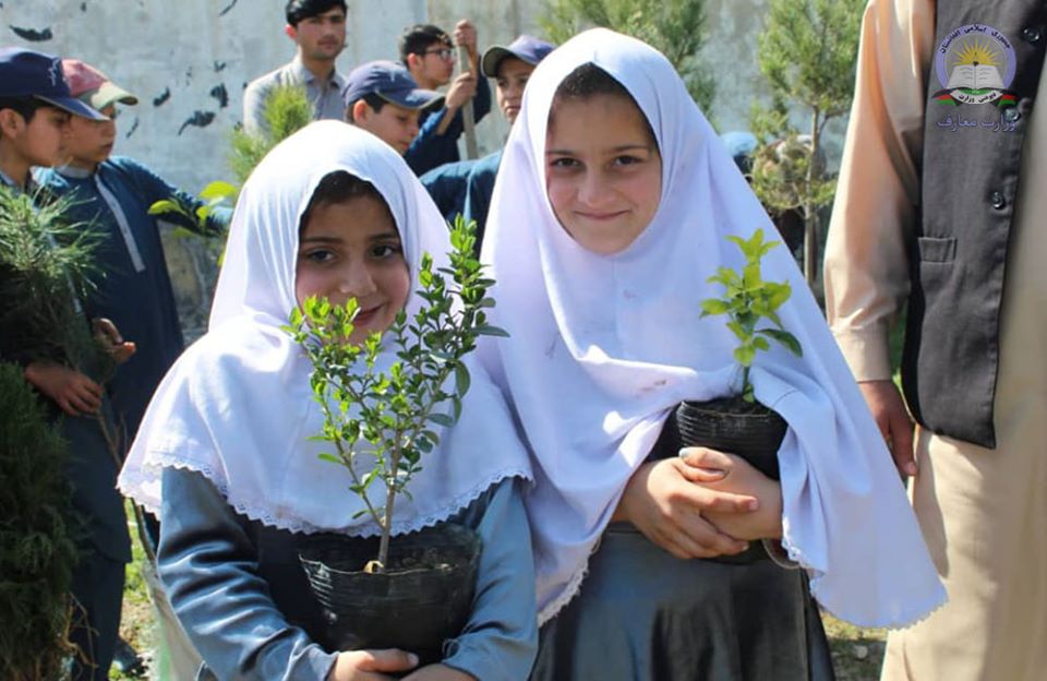 په خوست کې د سمسور ښوونځي تر عنوان لاندې په ښوونځیو کې د نیالګیو کینولو بهیر پیل شو
