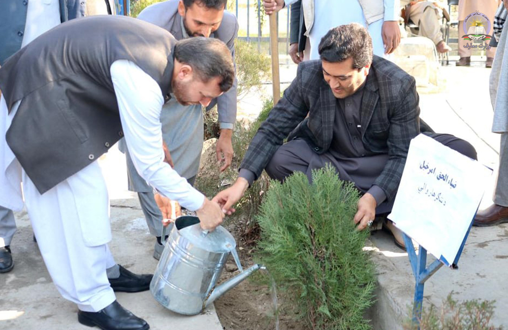 ننګرهار پوهنې ریاست اړوند ښوونځیو کې د نیالګیو کینولو کمپاین پېل شو