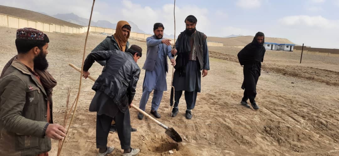 د لوګر ولایت د هلکانو په یوه ښوونځي کې نیالګي ولګول شول