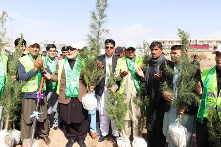 آغاز کمپاین غرس نهال در مکاتب ولایت پکتیا