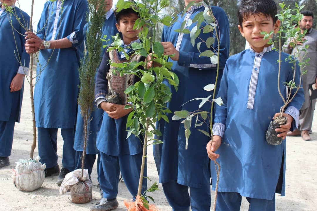 خوست ولایت کې د ( زرغون ښوونځي) تر شعار لاندې د نیالګیو کېنولو کمپاین پیل شو