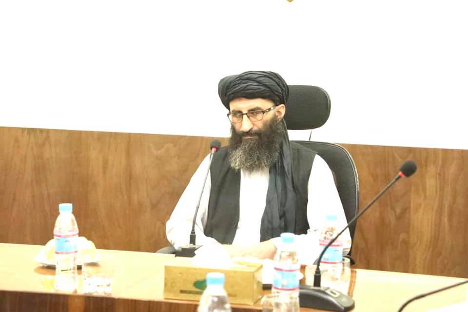 دپوهنې وزارت سر پرست وزیر د یونیسف ادارې له استازي سره وکتل