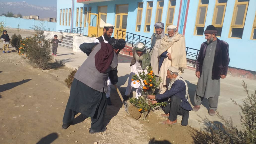 آغاز کمپاین نهال شانی از سوی معارف ولایت لغمان